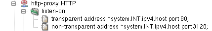 HTTP Proxy listening both in transparent and non-transparent mode